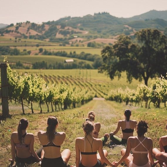 Gruppo di persone che pratica yoga davanti a un vigneto