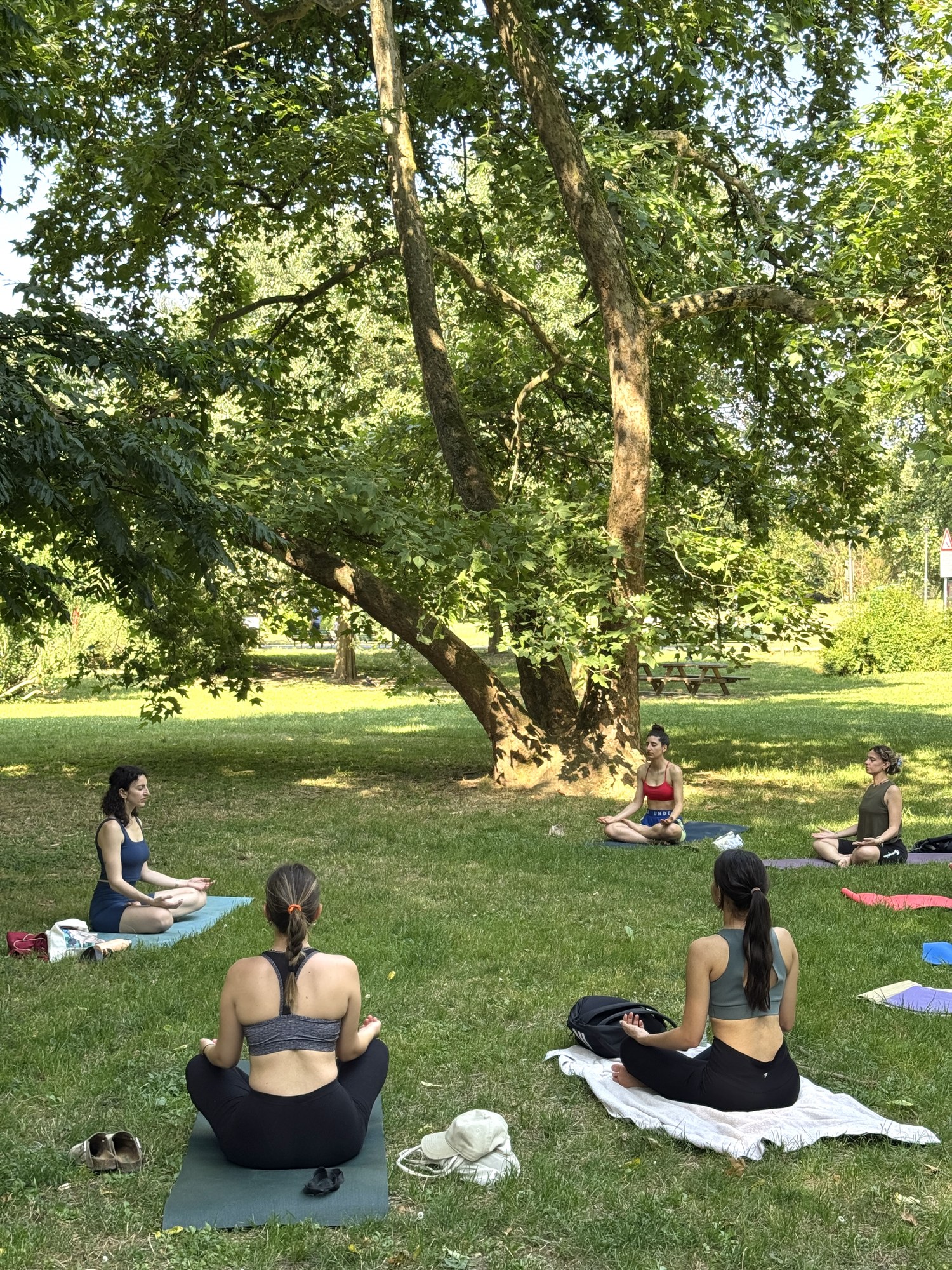 Persone che praticano yoga sui tappetini in un prato, all'ombra degli alberi